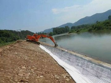 雷諾護墊 雷諾護墊